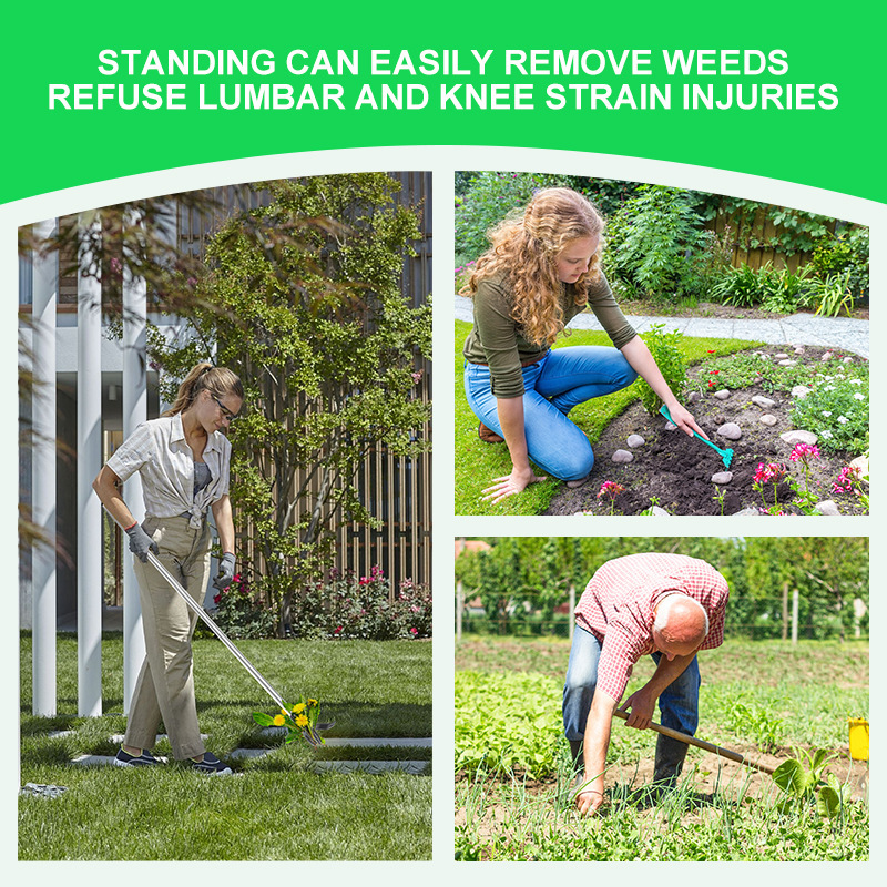 Comparison showing a woman standing comfortably using the ergonomic long handled weed puller versus traditional painful bending and kneeling weeding methods.