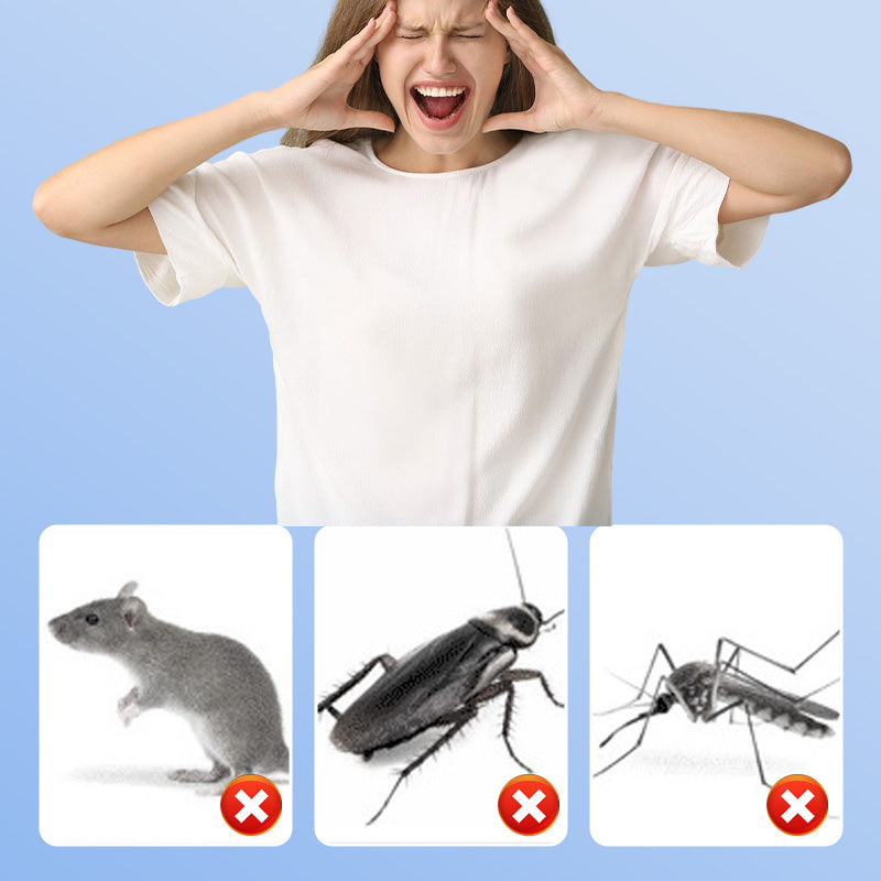 Common household pest problems in kitchens bedrooms and storage areas