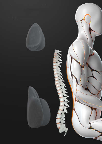 Cruise in Comfort Car Set