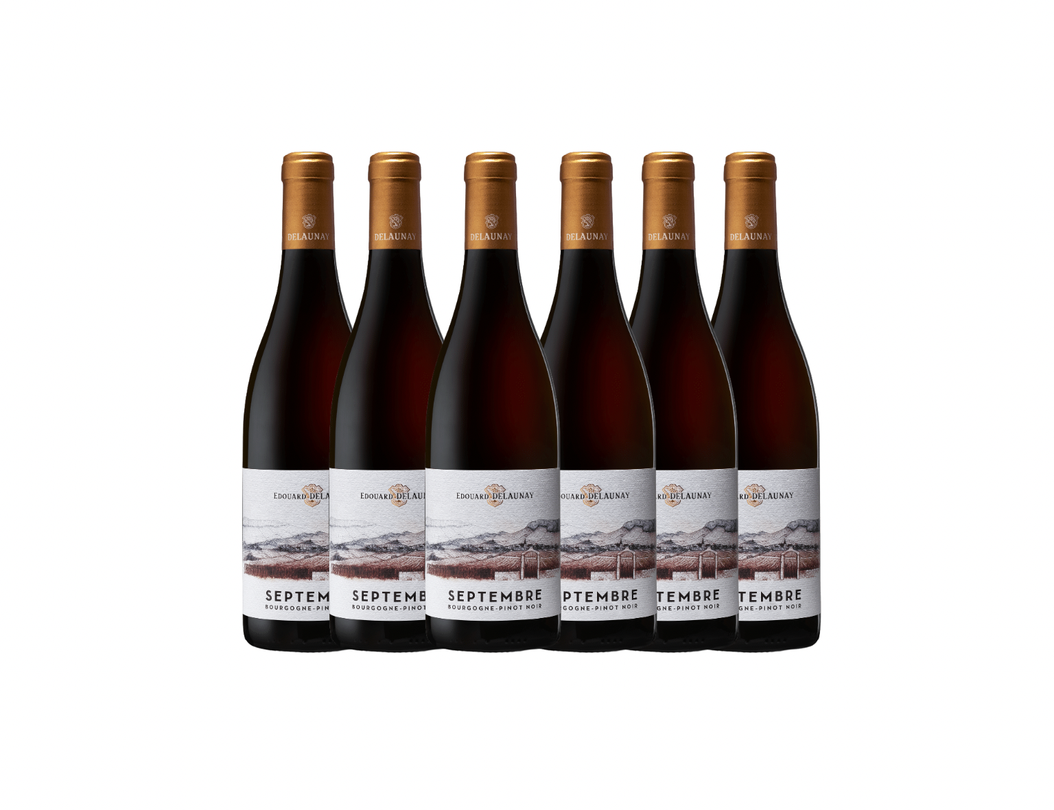 Edouard Delaunay Bourgogne Pinot Noir Septembre 2022 - 6 Bottle Pack