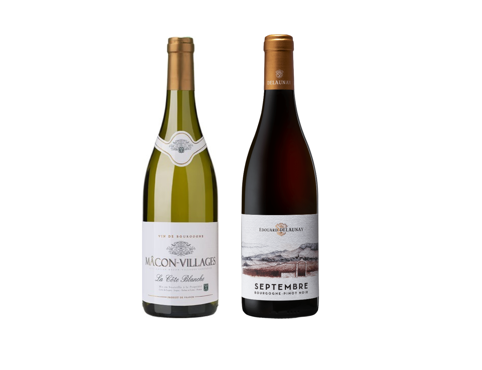 Burgundy Set - 2 Bottles Pack