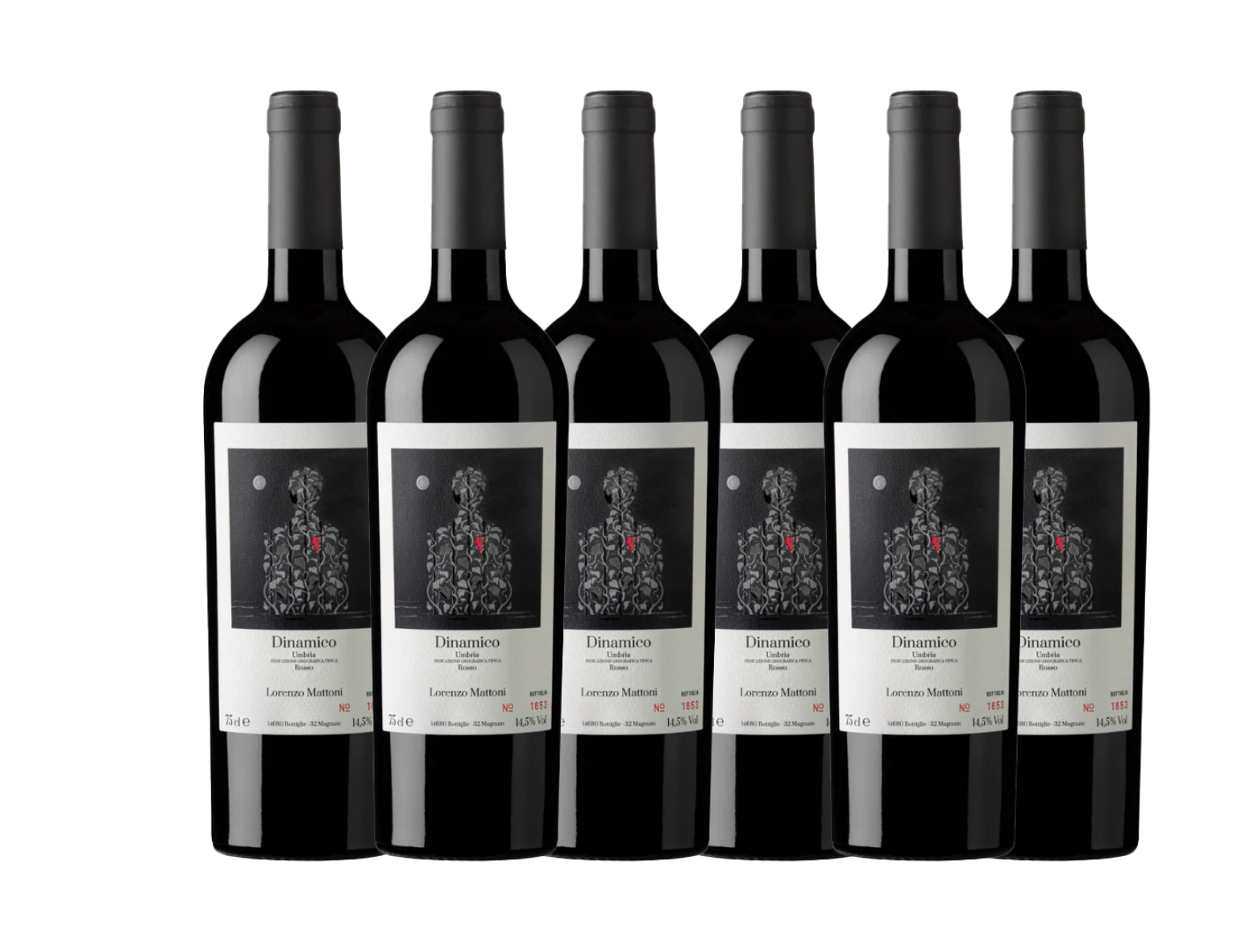 Lorenzo Mattoni Dinamico Rosso Umbria 2023 - 6 bottles pack