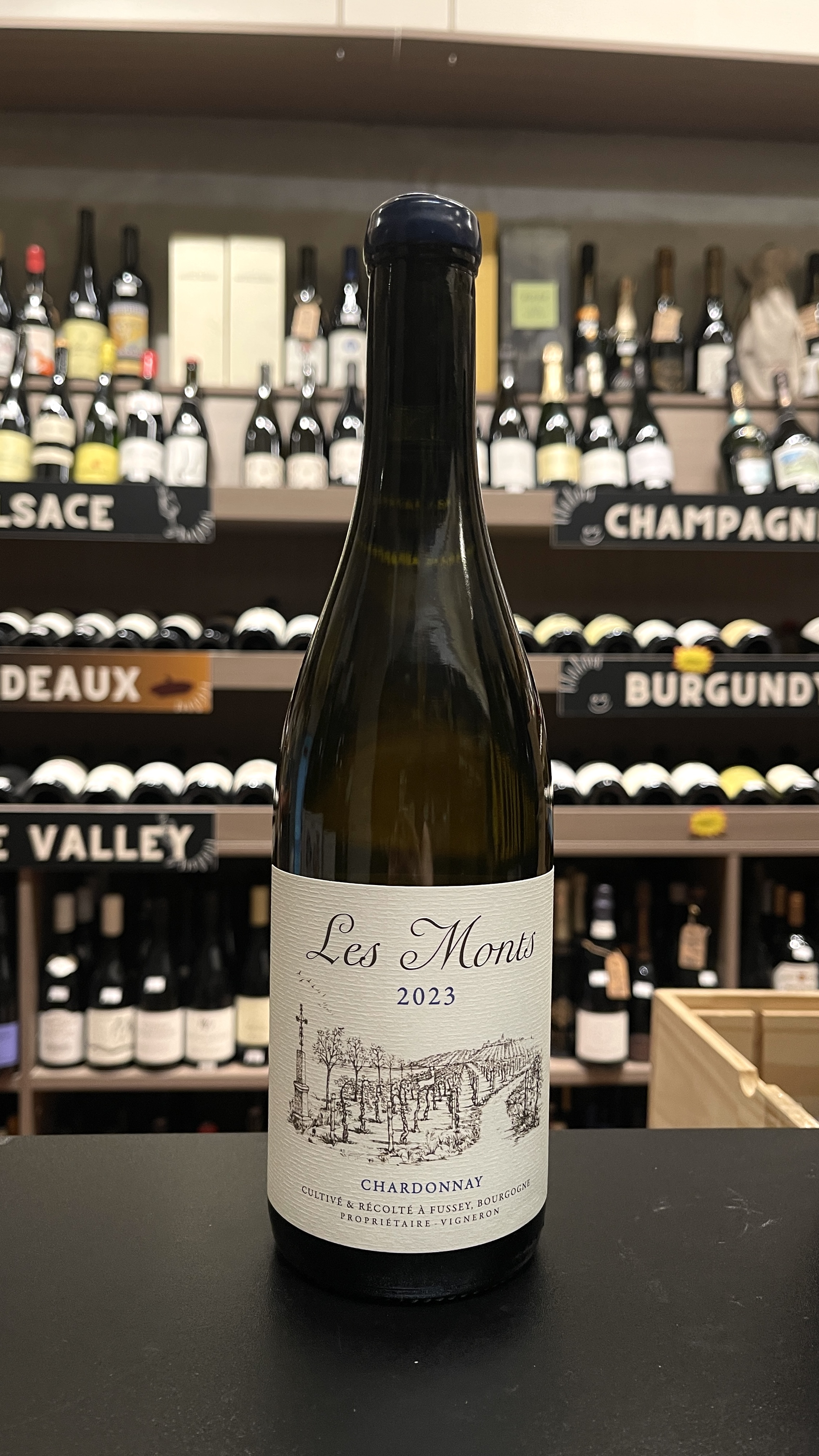 Les Monts Hautes Côtes de Beaune “Les Crucibées” 2023