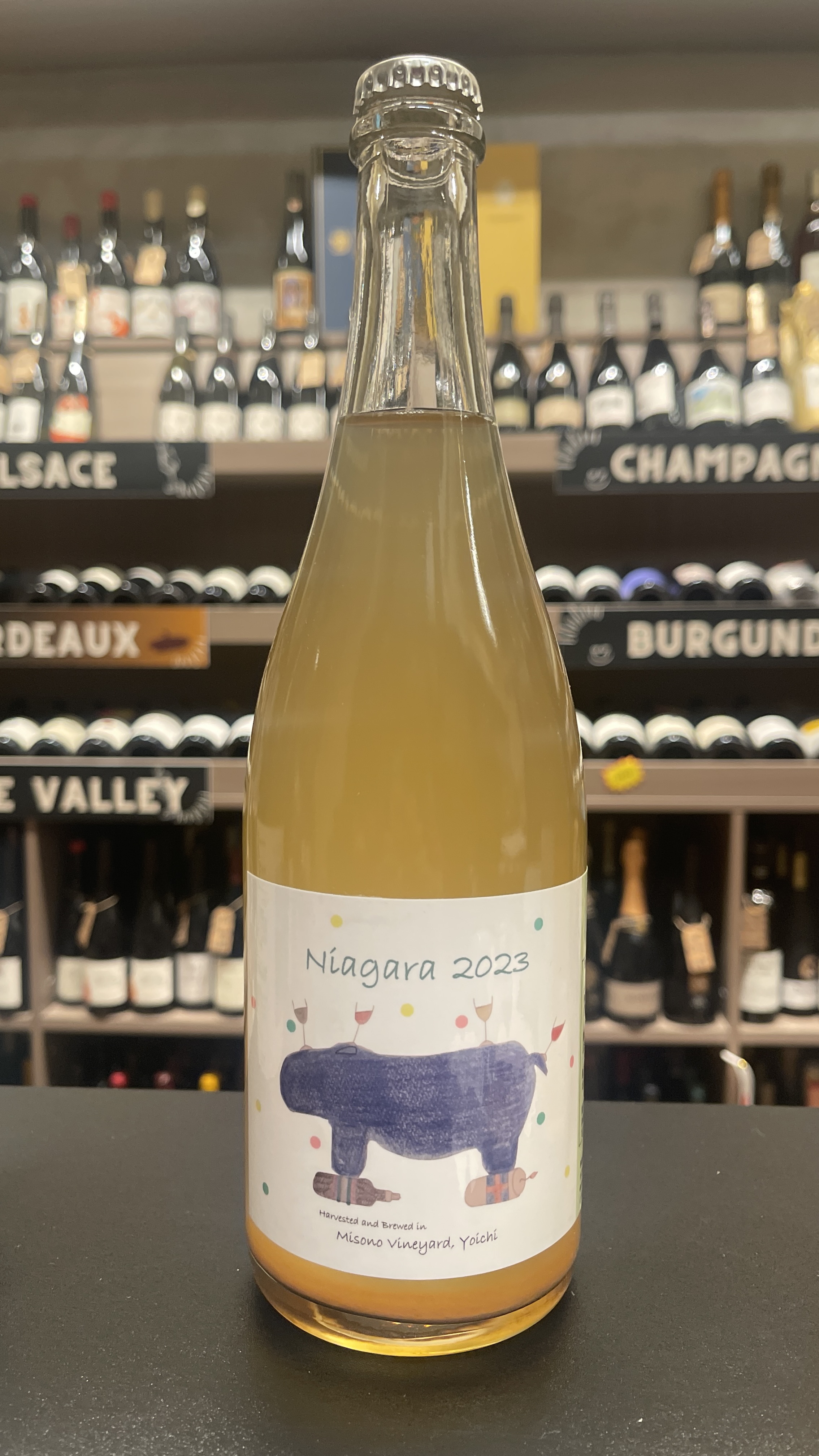 Misono Vineyards Niagara Petillant 2023