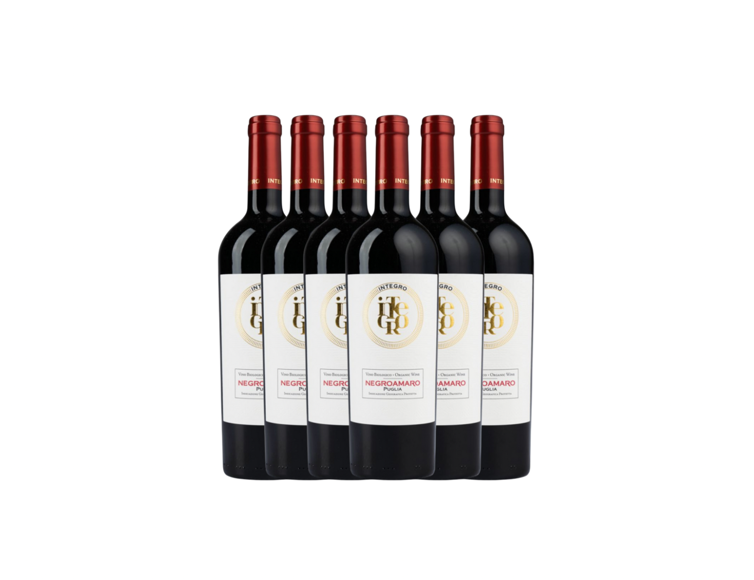 Integro Primitivo Puglia IGP 2023 - 6 Bottles Pack