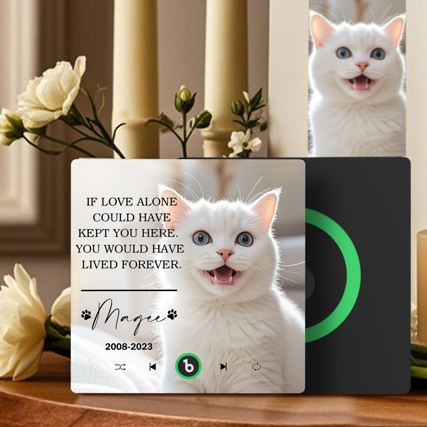 Custom Music Fridge Magnet Personalized Pet Photo & Name Magnet for Fridge That Can Play Songs Memorial Gifts for Pet Lover