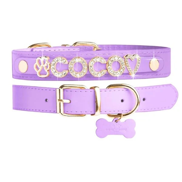 Luxury Leather Dog Collar Personalized Leather Dog Collar with Name & Zirconia Custom Jeweled Name Leather Dog Collar