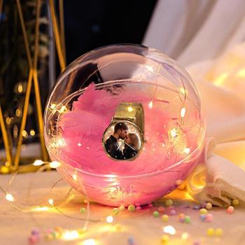 Transparent Plastic Ball Light String Light Purple Feather Three-piece Suit Creative Gift Combination - yournamenecklaceuk
