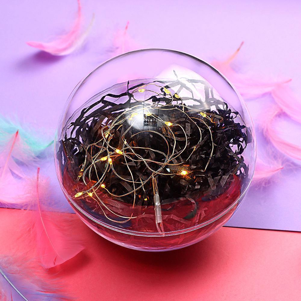 Transparent Round Plastic Ball Color Light String Black Raffia Shredded Paper Silk Three-piece Suit Creative Gift Combination - yournamenecklaceuk
