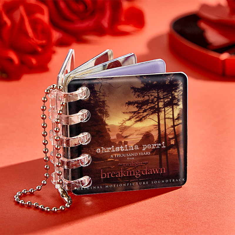 Custom Mini Album CD Keychain Personalized Music Gift Music Lover Keychain CD Album - namenecklace