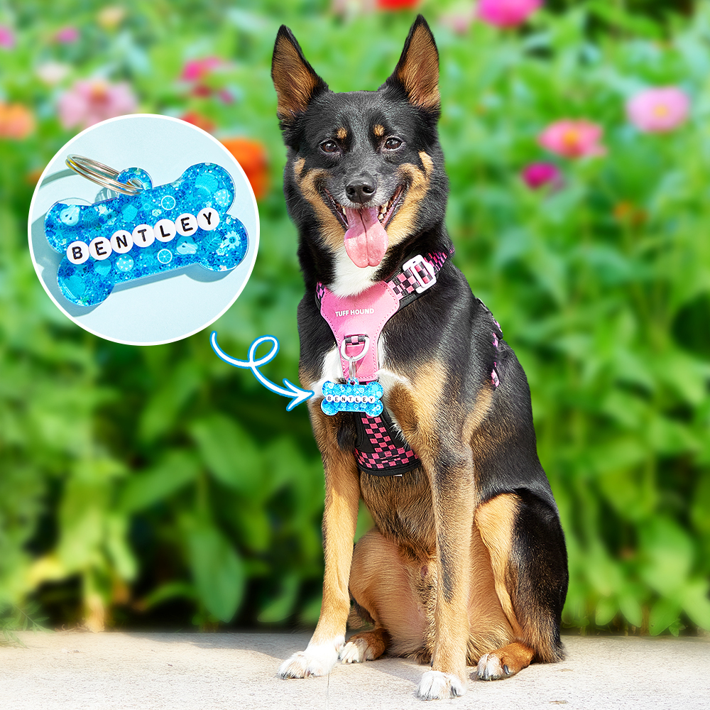 Personalized Resin Pet ID Tag for Dogs & Cats Custom Glitter & Name Charm