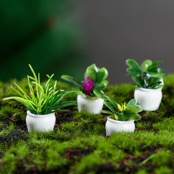 (4-Pack) Mini Planters - namenecklace