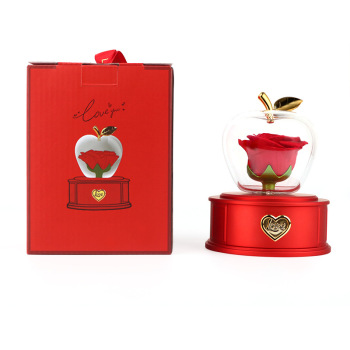 Apple Gift Box Acrylic Eternal Rose Jewelry Box Valentine's Day Necklace Gift Box