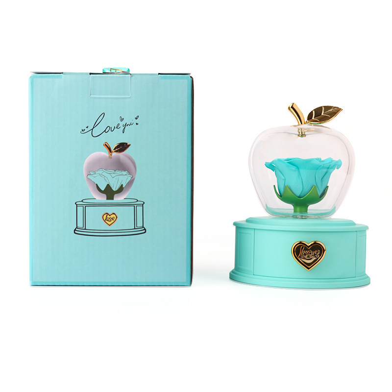 Apple Gift Box Acrylic Eternal Rose Jewelry Box Valentine's Day Necklace Gift Box
