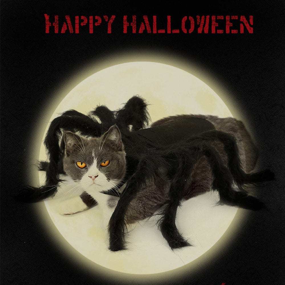 Halloween Pet Spider Costume Spider Cosplay Costumes with Adjustable Velcro for Small Medium Dogs and Cats - Giftlab