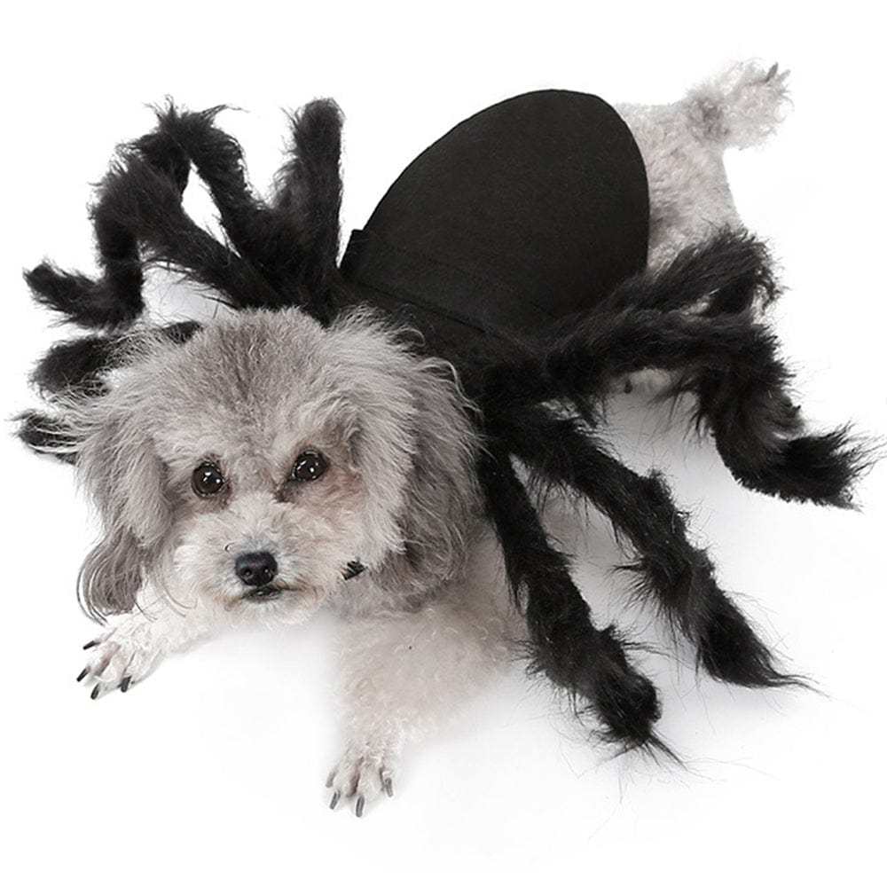 Halloween Pet Spider Costume Spider Cosplay Costumes with Adjustable Velcro for Small Medium Dogs and Cats - Giftlab