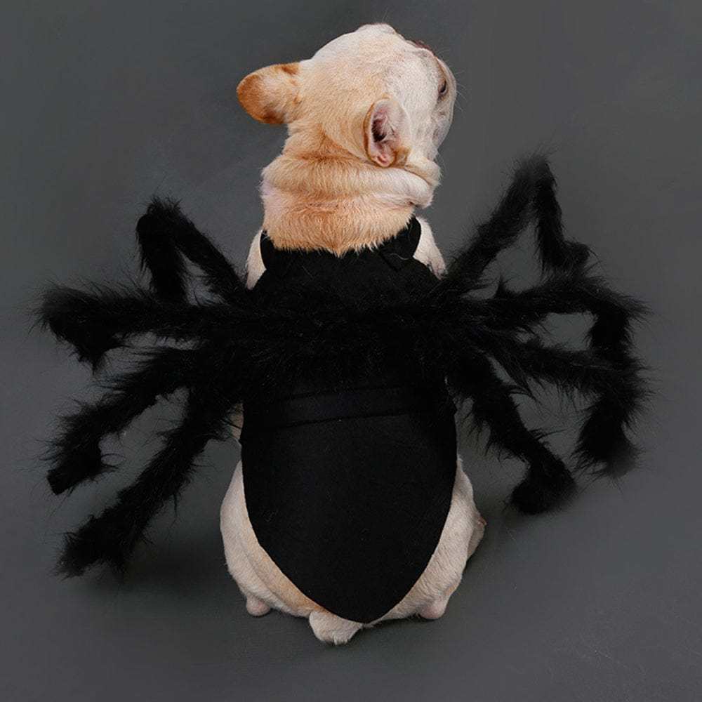 Halloween Pet Spider Costume Spider Cosplay Costumes with Adjustable Velcro for Small Medium Dogs and Cats - Giftlab