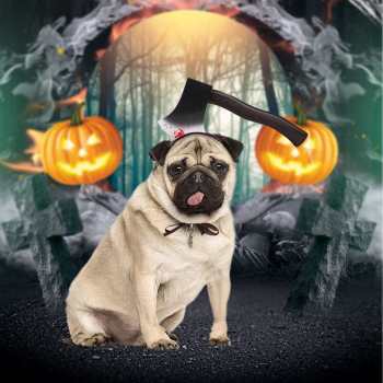 Halloween Funny Horror Bloody Headband Costume Horrible Costume Toys Props for Pet - Giftlab