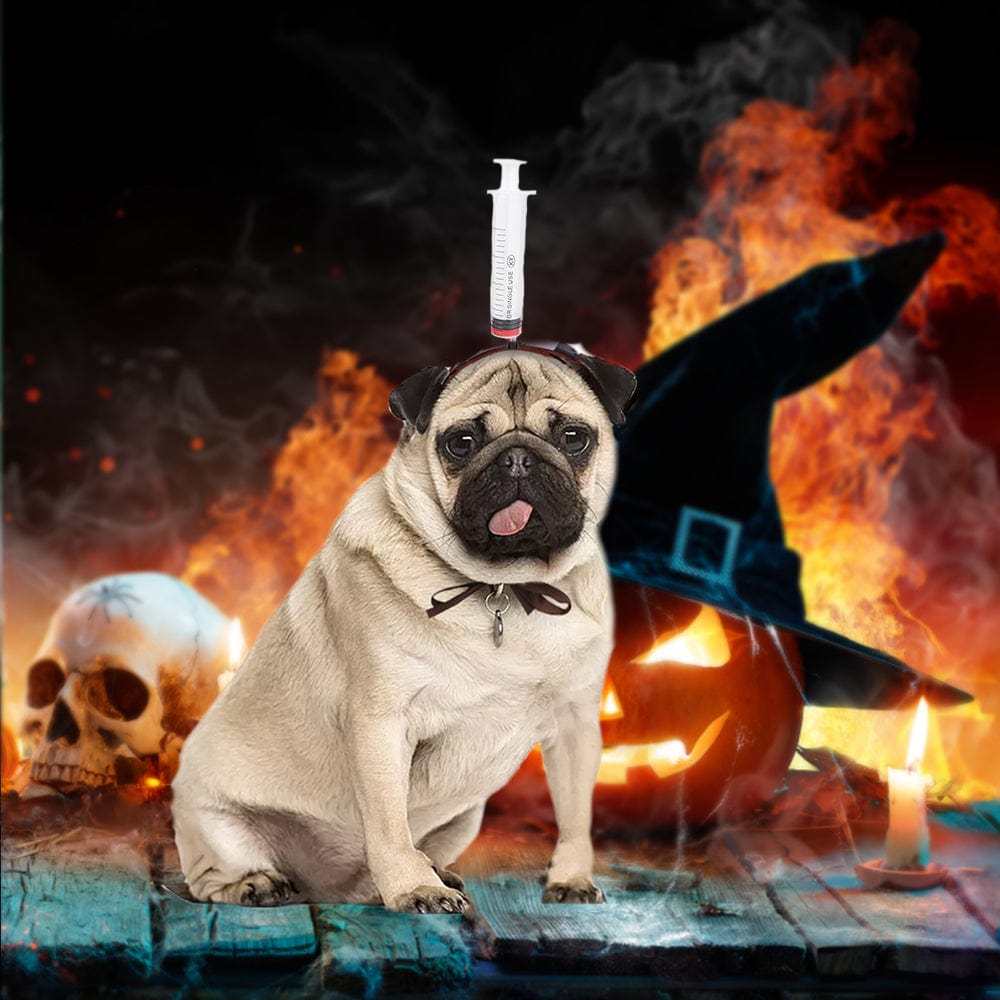 Halloween Funny Horror Bloody Headband Costume Horrible Costume Toys Props for Pet - Giftlab