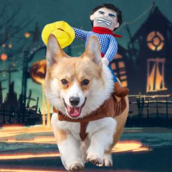 Halloween Cowboy Rider Dog Costume Knight Style with Doll for Halloween Day Pet Costume - Giftlab