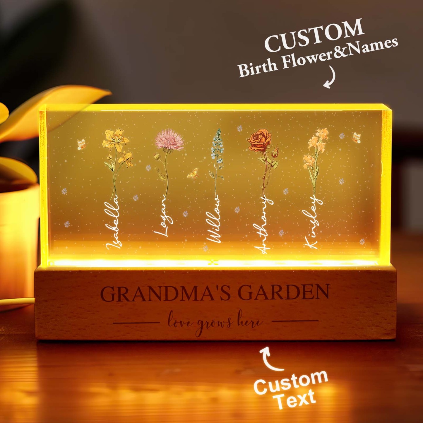 Grandma��s Garden Birth Month Flowers Personalized Acrylic Block LED Night Light, A Heartfelt Gift for Grandma��s Birthday, Mother��s Day, or Just Because