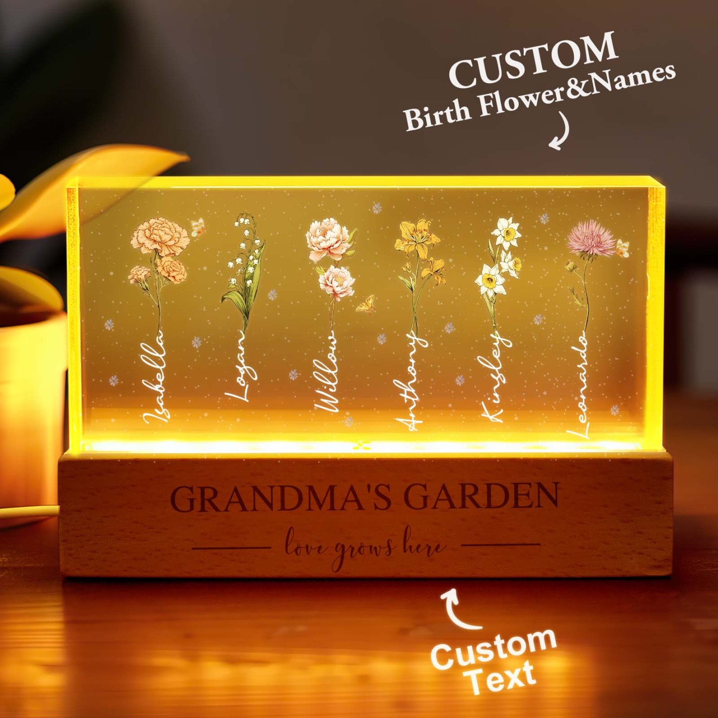 Grandma��s Garden Birth Month Flowers Personalized Acrylic Block LED Night Light, A Heartfelt Gift for Grandma��s Birthday, Mother��s Day, or Just Because