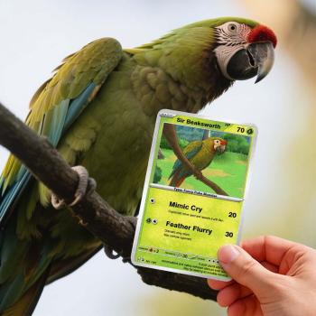 Custom Cartoon Bird Card – Personalized Pet Portrait Gift from Photo for Animal Lovers