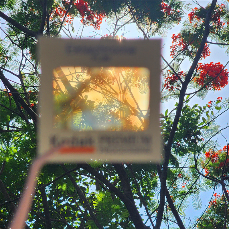 Custom Kodak Film Slide Keychain Personalized Translucent Photo Charm Romantic Gifts for Her