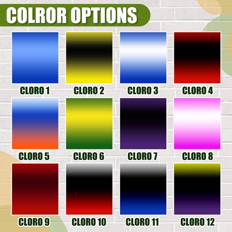 Custom Graduation Stole with photos, Your School Colors Personalized Stole,Personalized Text Grad Stole Sash,Gift for Graduate,Class of 2025