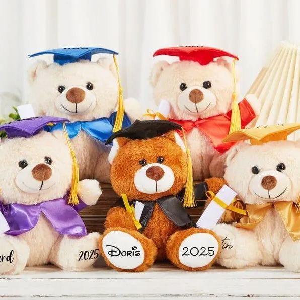 Custom Graduation Bear, Graduation 2025, Graduation Gifts, Graduation Keepsake, Gifts for Grads