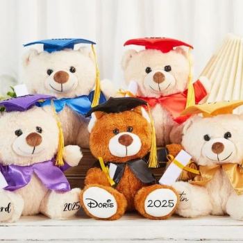 Custom Graduation Bear, Graduation 2025, Graduation Gifts, Graduation Keepsake, Gifts for Grads