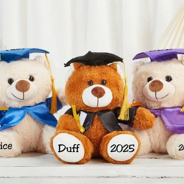 Custom Graduation Bear, Graduation 2025, Graduation Gifts, Graduation Keepsake, Gifts for Grads