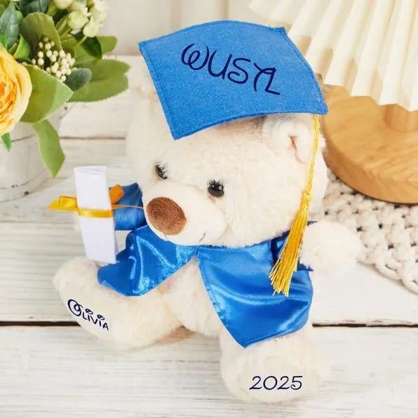 Custom Graduation Bear, Graduation 2025, Graduation Gifts, Graduation Keepsake, Gifts for Grads