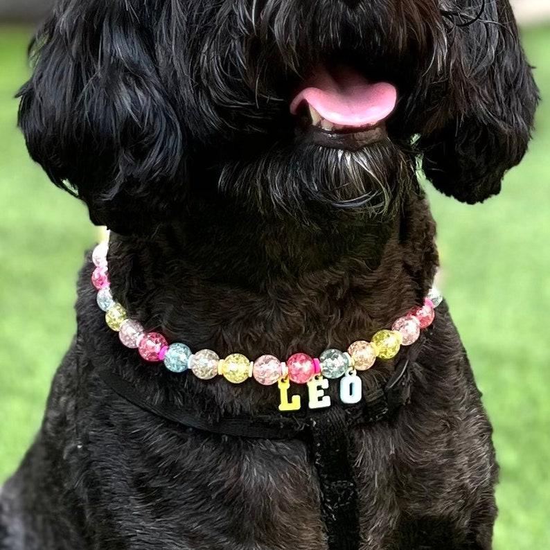 Personalized Pet Name Necklace Custom Dog Cat Name Necklace Engraved Pet ID Jewelry Animal Lover Gift