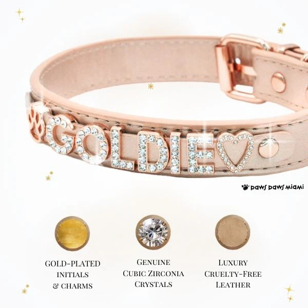 Luxury Leather Dog Collar Personalized Leather Dog Collar with Name & Zirconia Custom Jeweled Name Leather Dog Collar