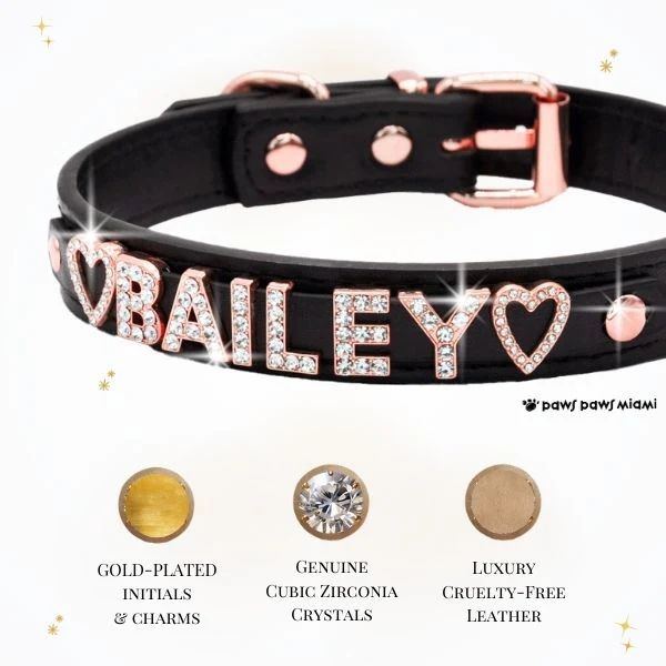 Luxury Leather Dog Collar Personalized Leather Dog Collar with Name & Zirconia Custom Jeweled Name Leather Dog Collar