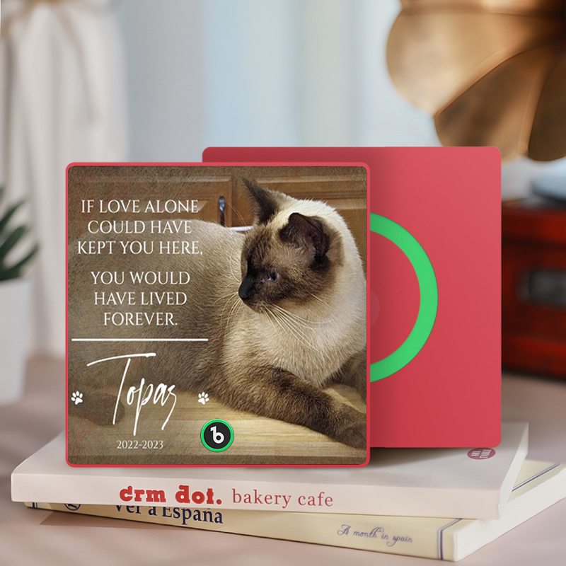 Custom Music Fridge Magnet Personalized Pet Photo & Name Magnet for Fridge That Can Play Songs Memorial Gifts for Pet Lover