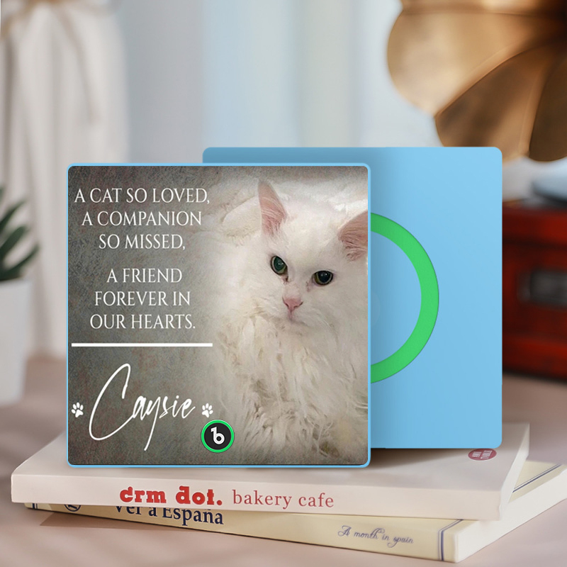 Custom Music Fridge Magnet Personalized Pet Photo & Name Magnet for Fridge That Can Play Songs Memorial Gifts for Pet Lover
