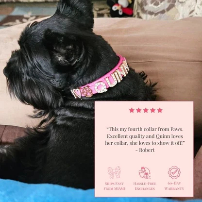 Luxury Leather Dog Collar Personalized Leather Dog Collar with Name & Zirconia Custom Jeweled Name Leather Dog Collar