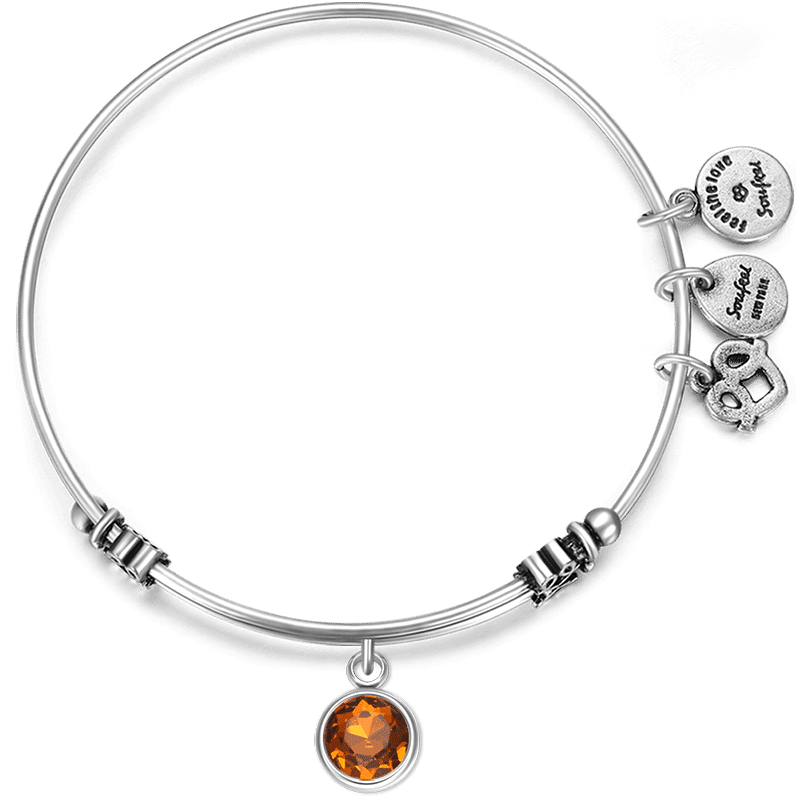 November Birthstone Charm Bangle - yournamenecklace