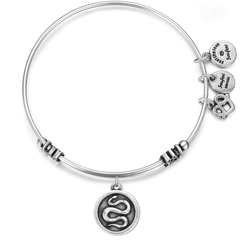 Snake Charm Bangle - yournamenecklace