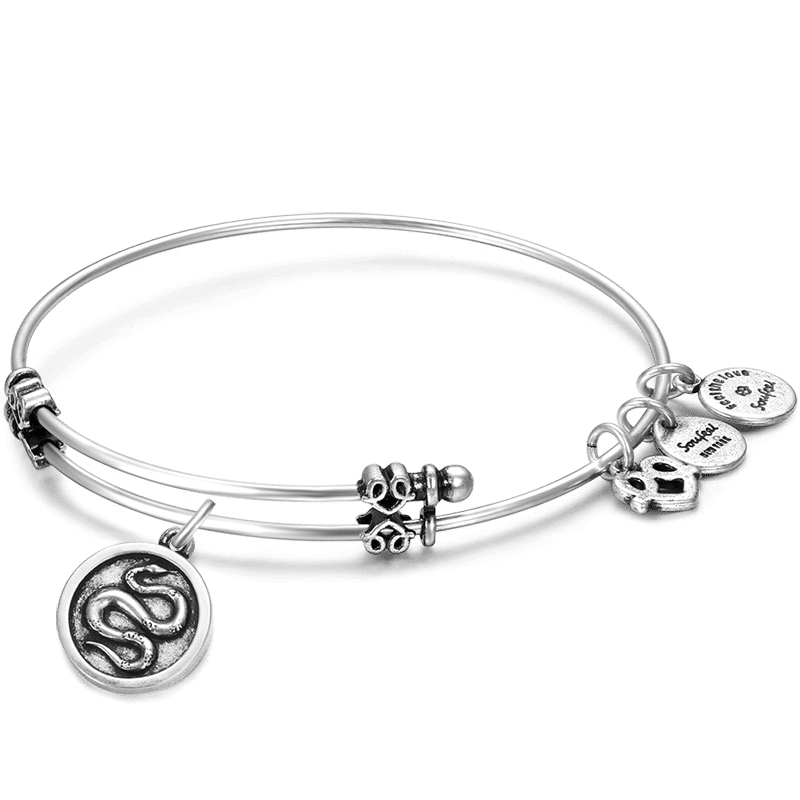 Snake Charm Bangle - yournamenecklace