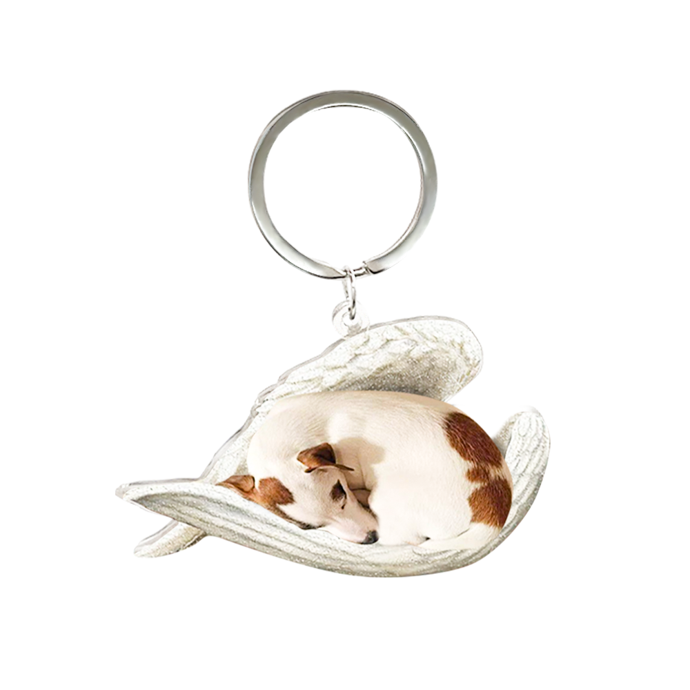 Custom Keychain Pet Sleeping Angel Acrylic Keychain Gift for Pet Lovers - yournamenecklaceau