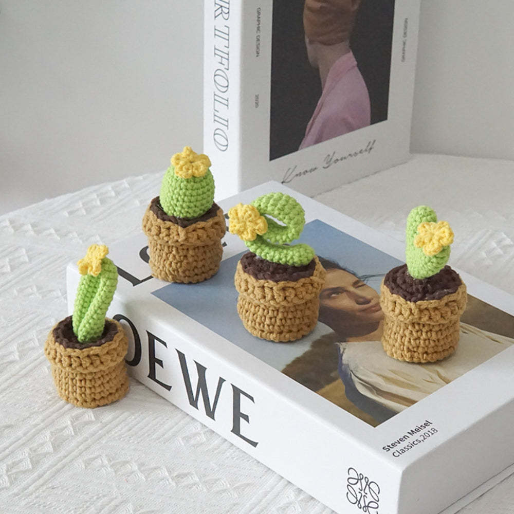 Love Handmade Crochet Completed Hand Woven Knitted Potted Plants Gift for Handicraft Lover - yournamenecklaceau