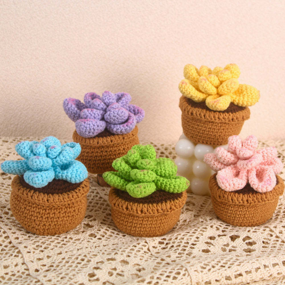Succulent Crochet Potted Plants Completed Hand Woven Knitted Potted Plants Gift for Handicraft Lover - yournamenecklaceau