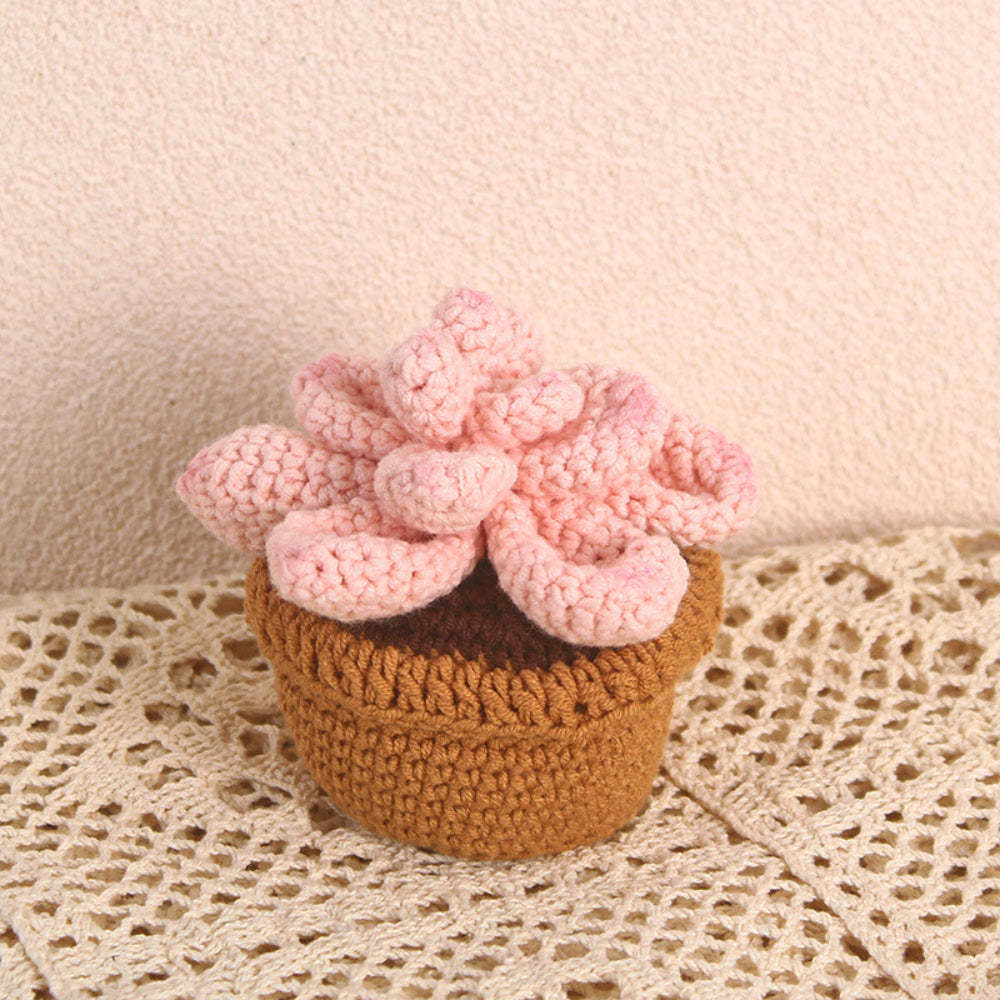 Succulent Crochet Potted Plants Completed Hand Woven Knitted Potted Plants Gift for Handicraft Lover - yournamenecklaceau
