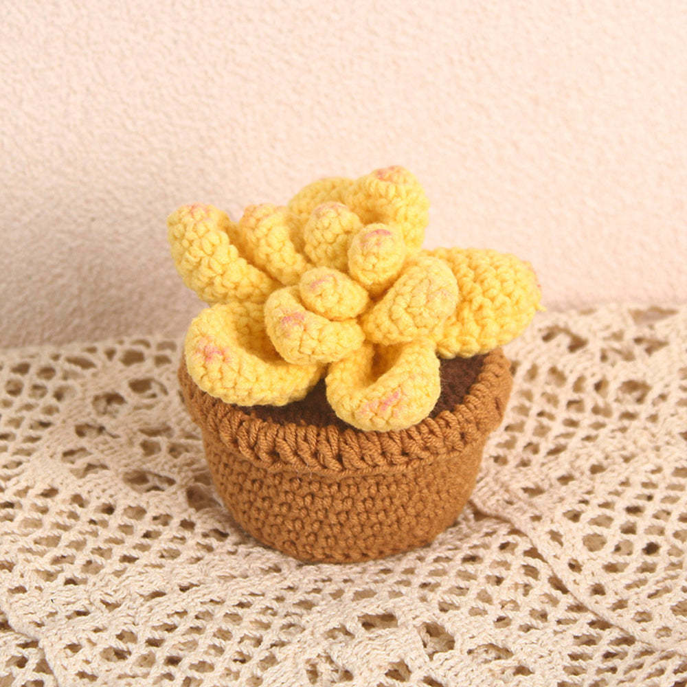 Succulent Crochet Potted Plants Completed Hand Woven Knitted Potted Plants Gift for Handicraft Lover - yournamenecklaceau