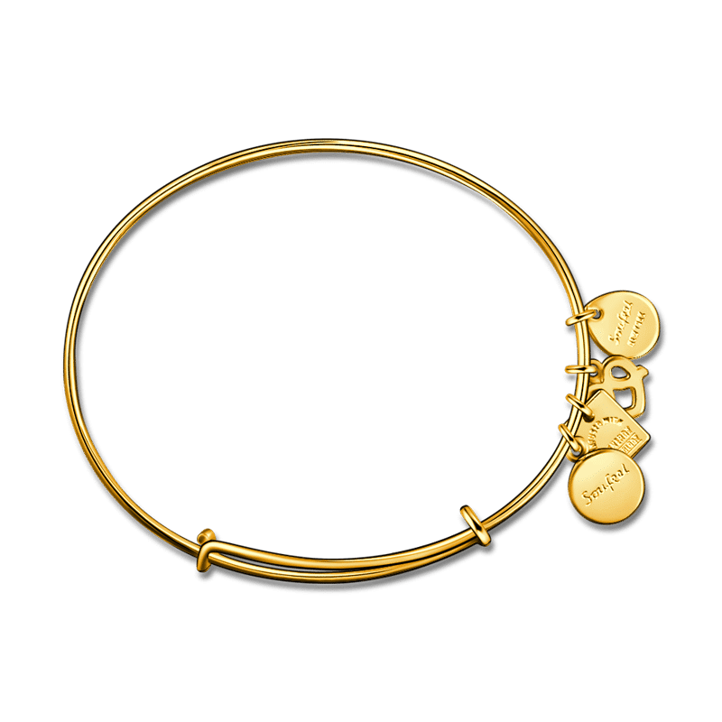 Classic Disc Complete Charm Bangle 14k Gold Plated Special Alloy - yournamenecklaceuk