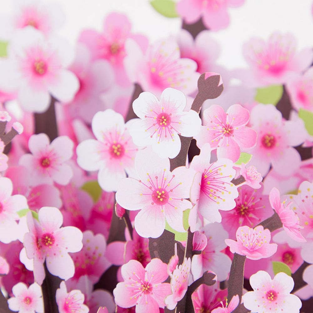 Cherry Blossom Flower Box 3D Pop Up Greeting Card - yournamenecklaceuk