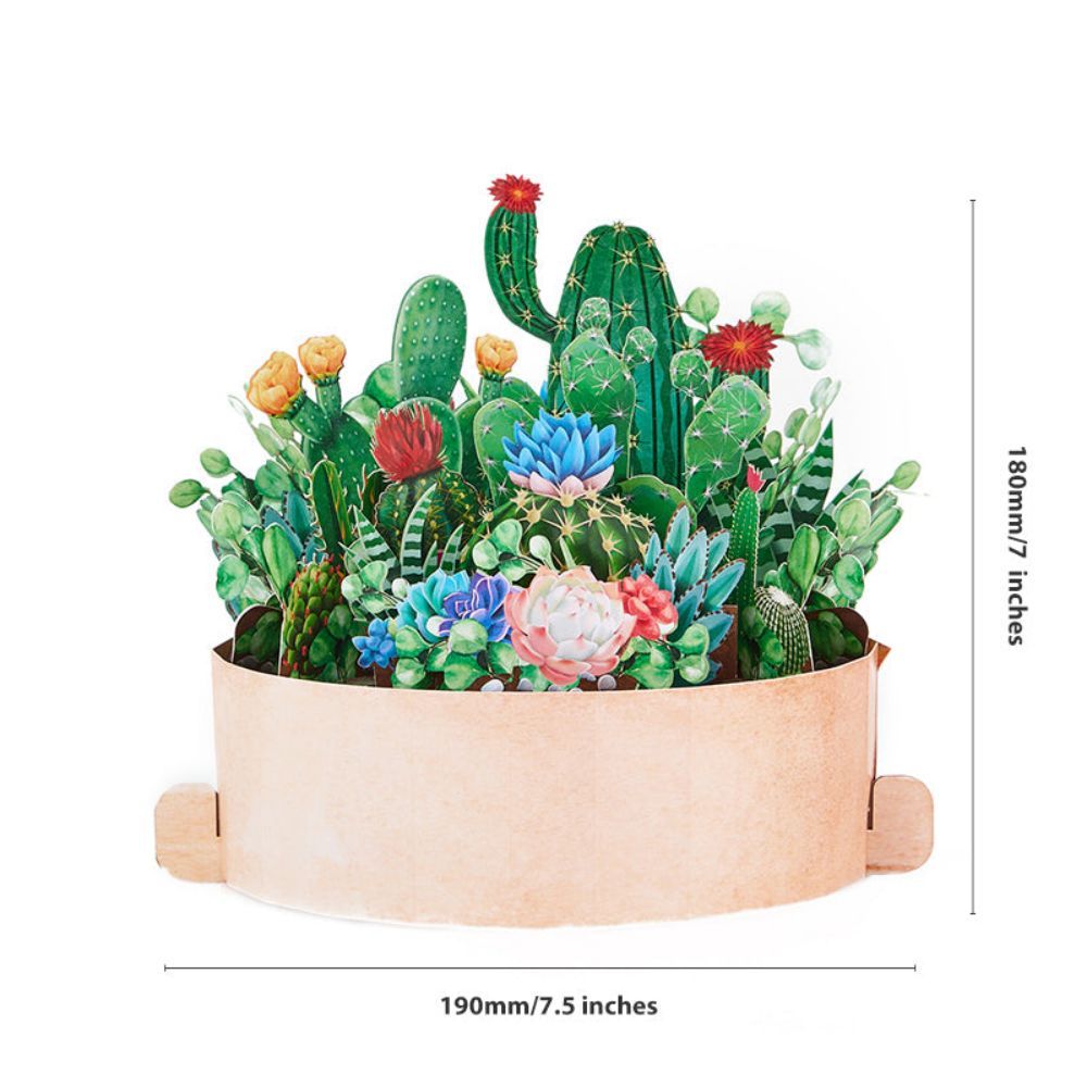 Cactus Plants Pop Up Card Flower Pot 3D Pop Up Greeting Card - yournamenecklaceuk